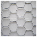 Galvanized Hexagpnal Rabbit Wire